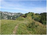 Vrh Bače - Planina Za Črno goro